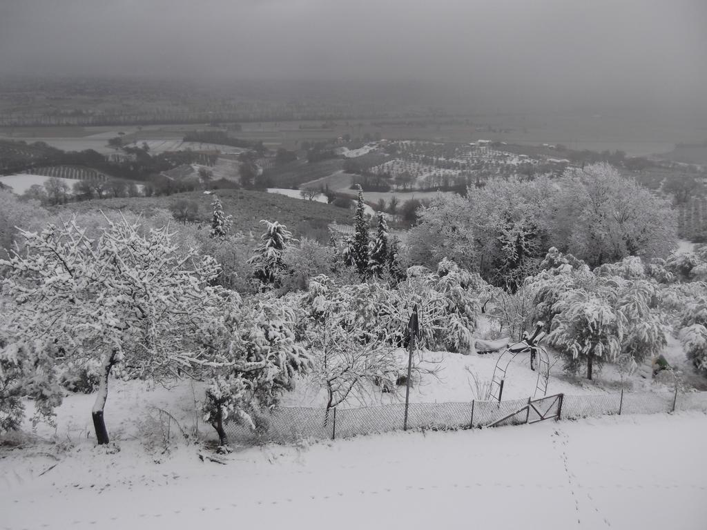 A Casa Di Mi Appartamenti Vacanza Montefalco Eksteriør bilde